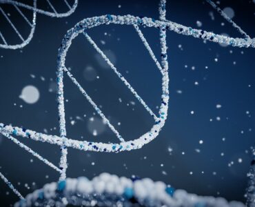 Close-up image of a DNA double helix model representing genetic information
