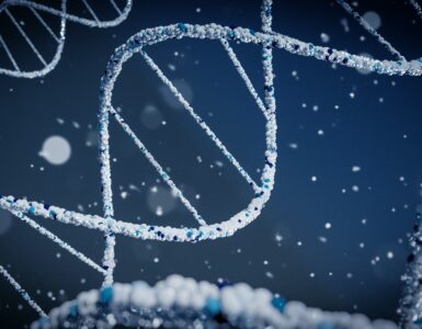 Close-up image of a DNA double helix model representing genetic information