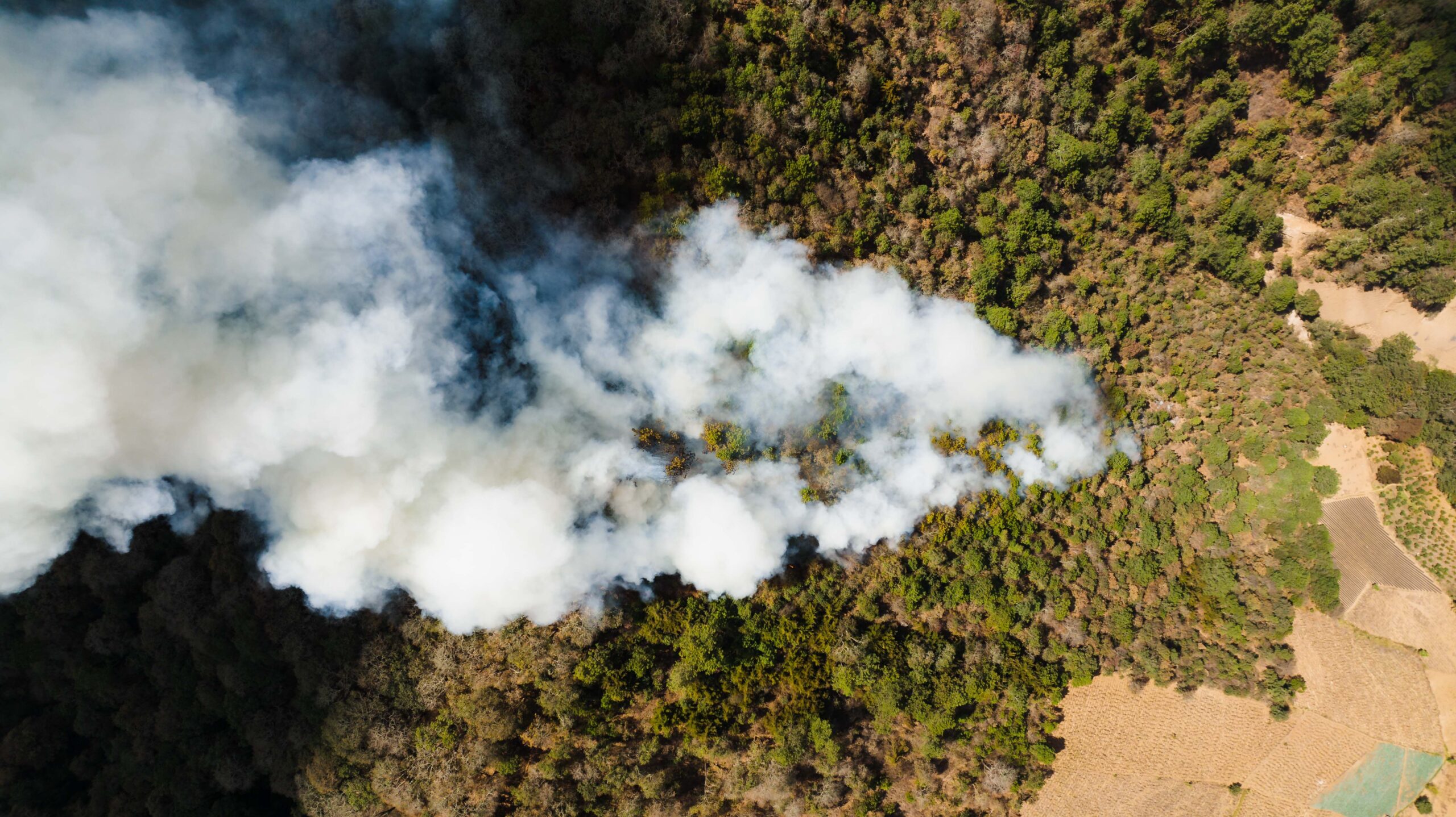 Aerial view of smoke rising from a forested landscape
