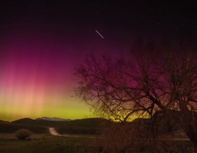 Red and green aurora glowing over a rural road and trees under a starry sky