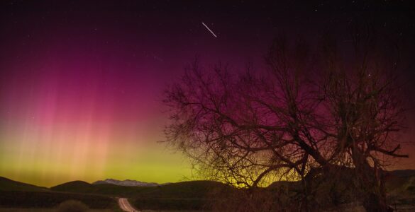 Red and green aurora glowing over a rural road and trees under a starry sky