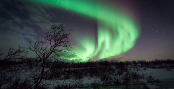 Green aurora borealis curtains glowing over a snowy night landscape in Norway