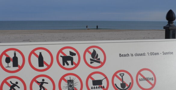 Beach warning signs posted near the shore