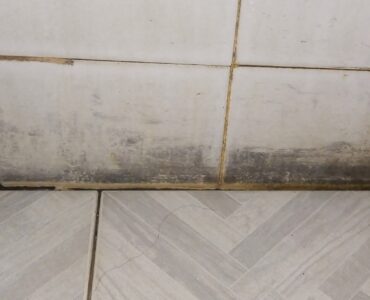 Dark mold growing along bathroom tile where moisture has collected