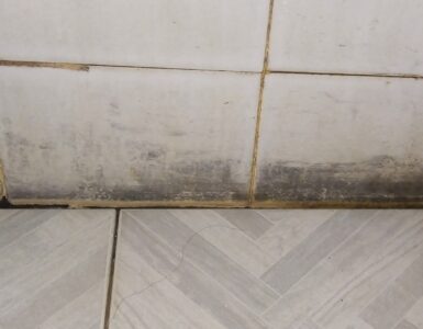 Dark mold growing along bathroom tile where moisture has collected