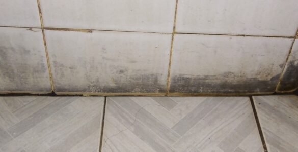 Dark mold growing along bathroom tile where moisture has collected
