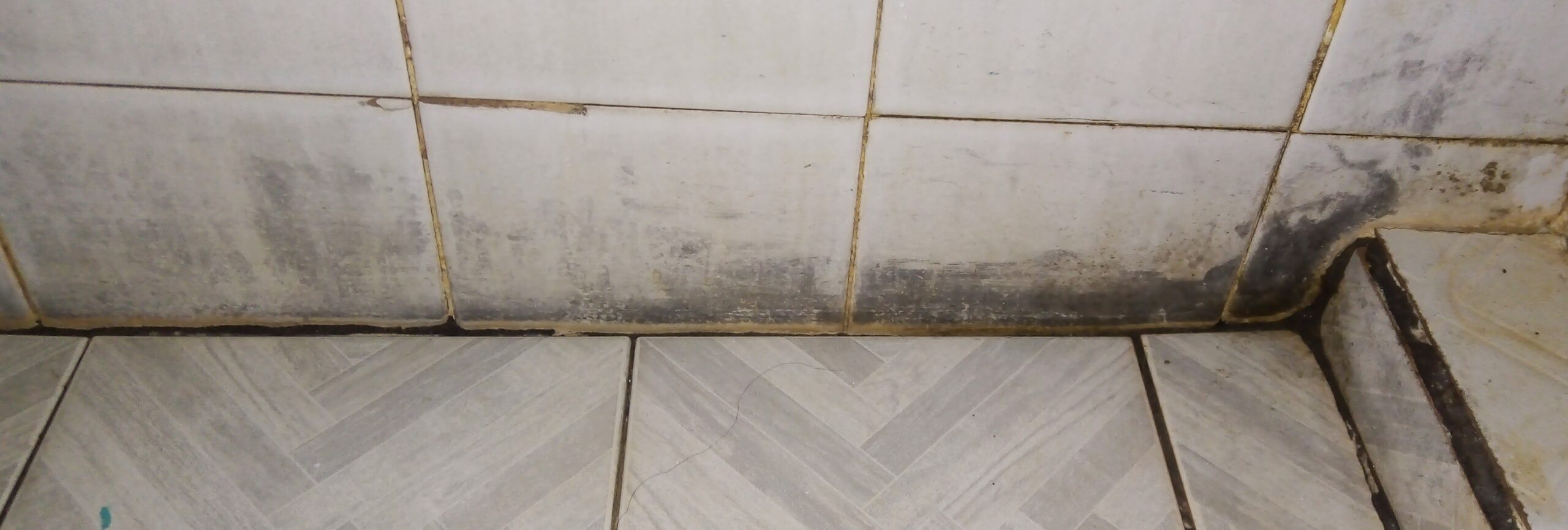 Dark mold growing along bathroom tile where moisture has collected