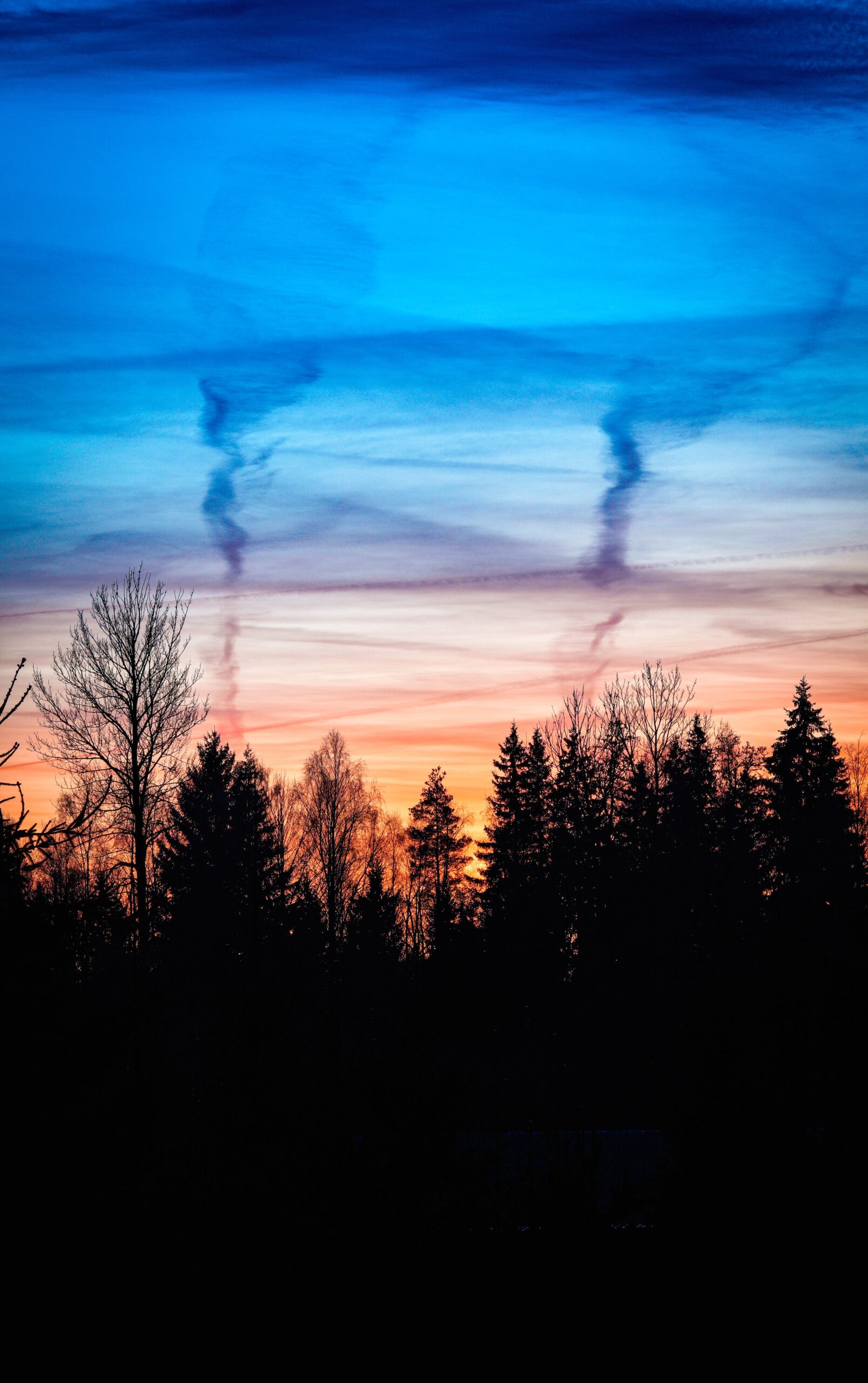 A blue and orange twilight sky above silhouetted trees