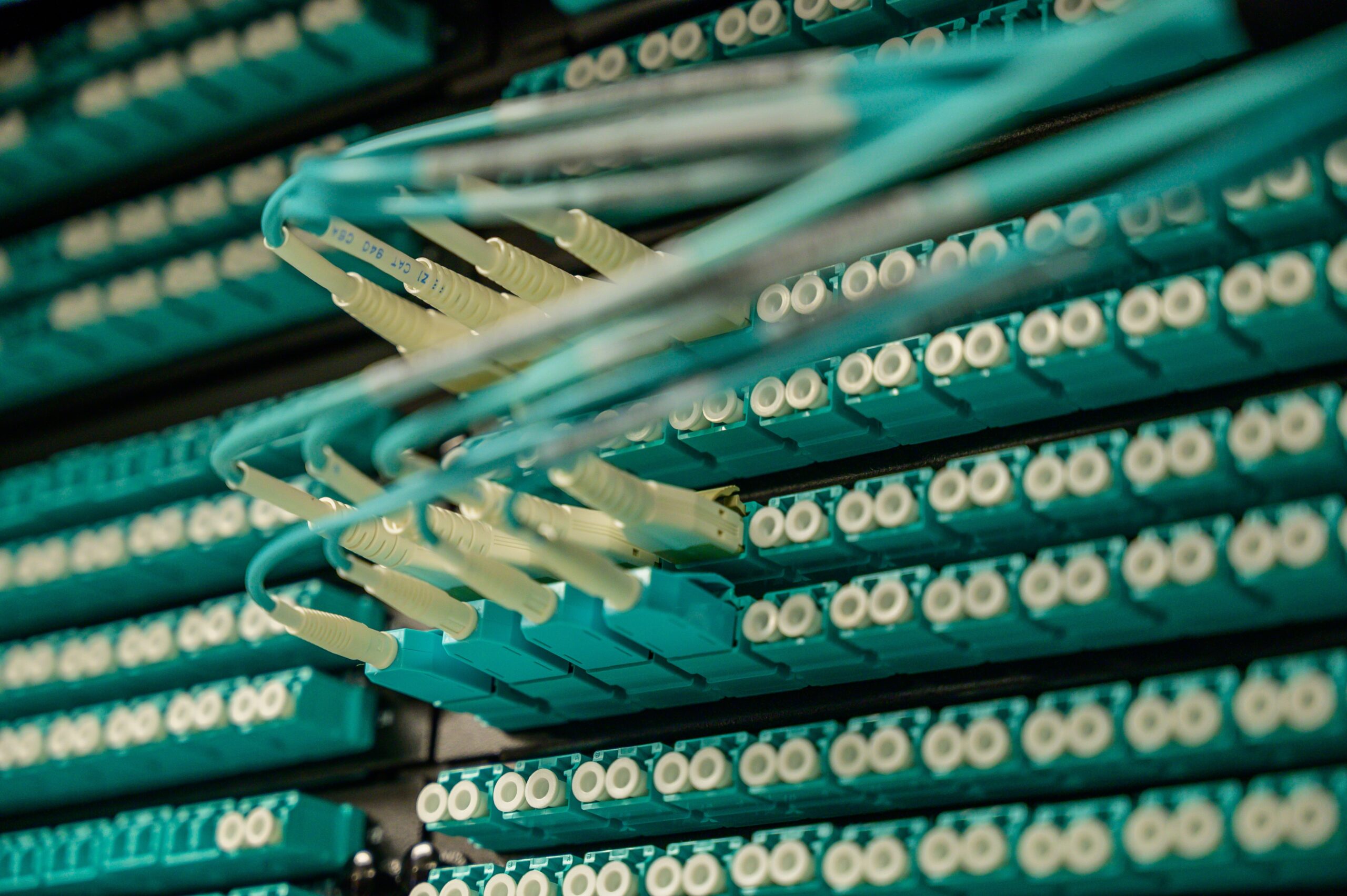 Close-up of fiber optic cables in a network panel used for internet infrastructure