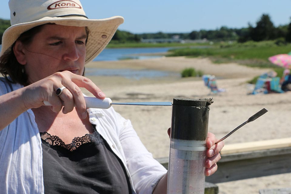 A researcher examines a dark sediment core near a coastal wetland