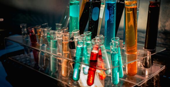 Colorful test tubes in a laboratory used to represent hormone and metabolism research