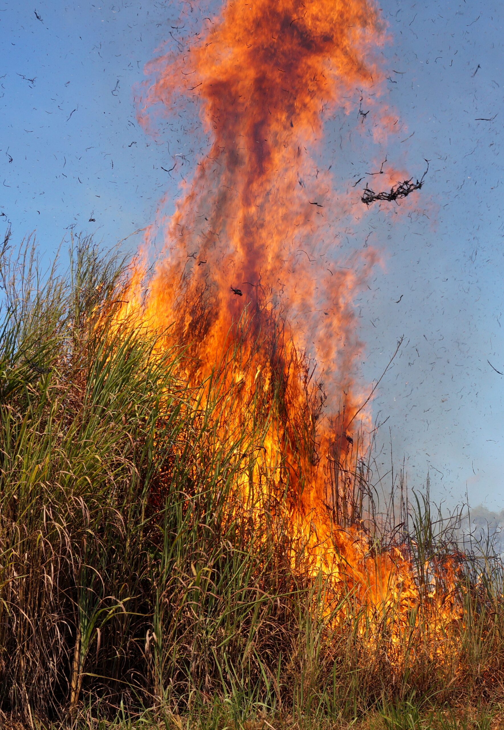 Flames burning through dry grass in open land