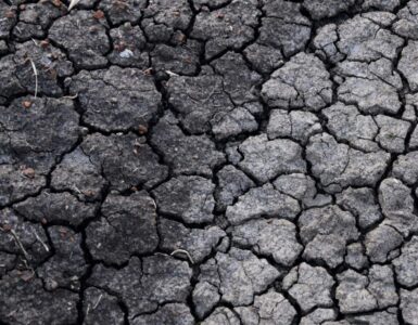 Cracked dry soil showing how quickly land can lose moisture during drought.