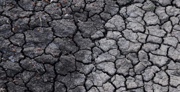 Cracked dry soil showing how quickly land can lose moisture during drought.