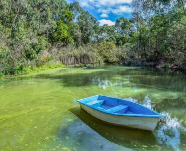 A small boat floating on green lake water affected by an algal bloom.