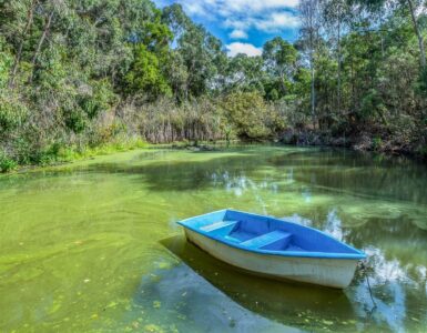 A small boat floating on green lake water affected by an algal bloom.