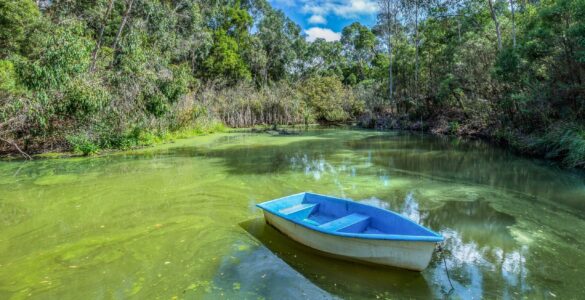 A small boat floating on green lake water affected by an algal bloom.
