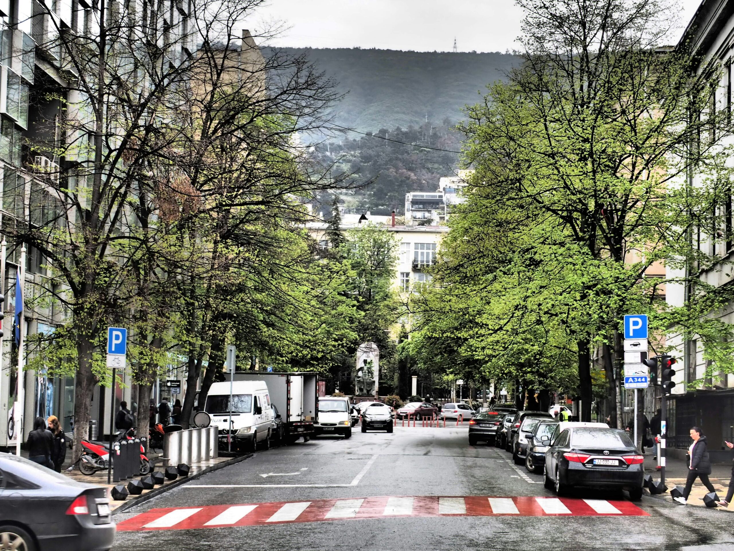 A tree-lined street with shade that can reduce heat exposure during hot weather.