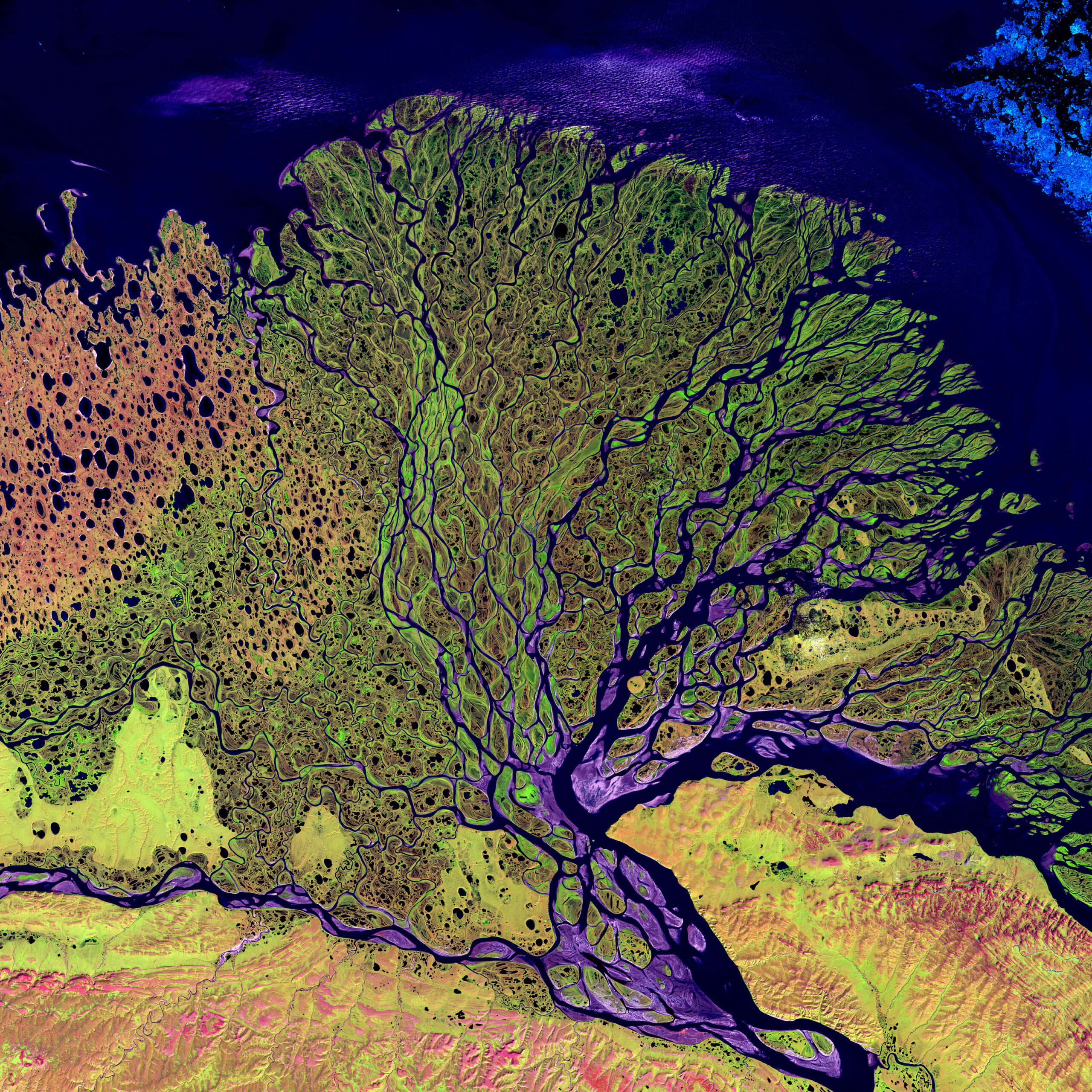 Satellite view of the branching Lena River Delta in northern Russia