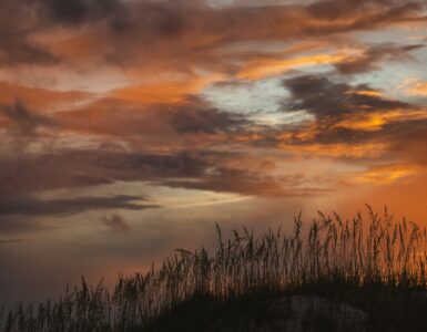 A low sun glowing near the horizon over a beach landscape