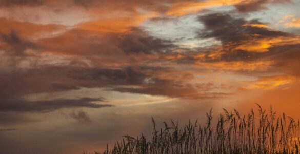 A low sun glowing near the horizon over a beach landscape
