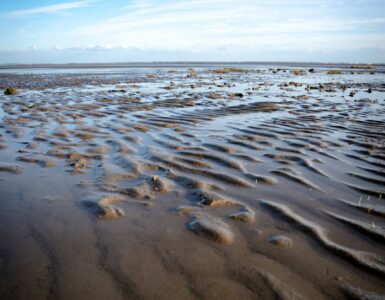 Wide low tide beach with rippled wet sand and shallow water under a blue sky