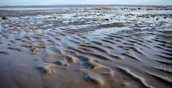 Wide low tide beach with rippled wet sand and shallow water under a blue sky