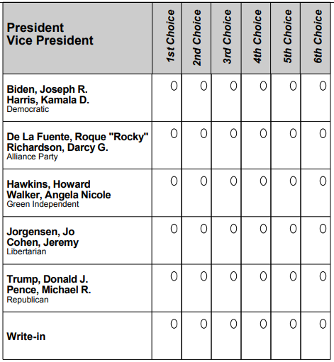 A ranked-choice voting ballot example with columns for first, second, third, fourth, and fifth choices.