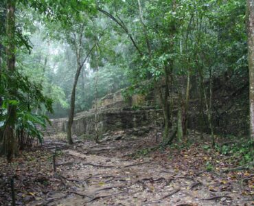 Maya stone ruins partly hidden by tropical forest
