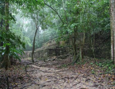 Maya stone ruins partly hidden by tropical forest