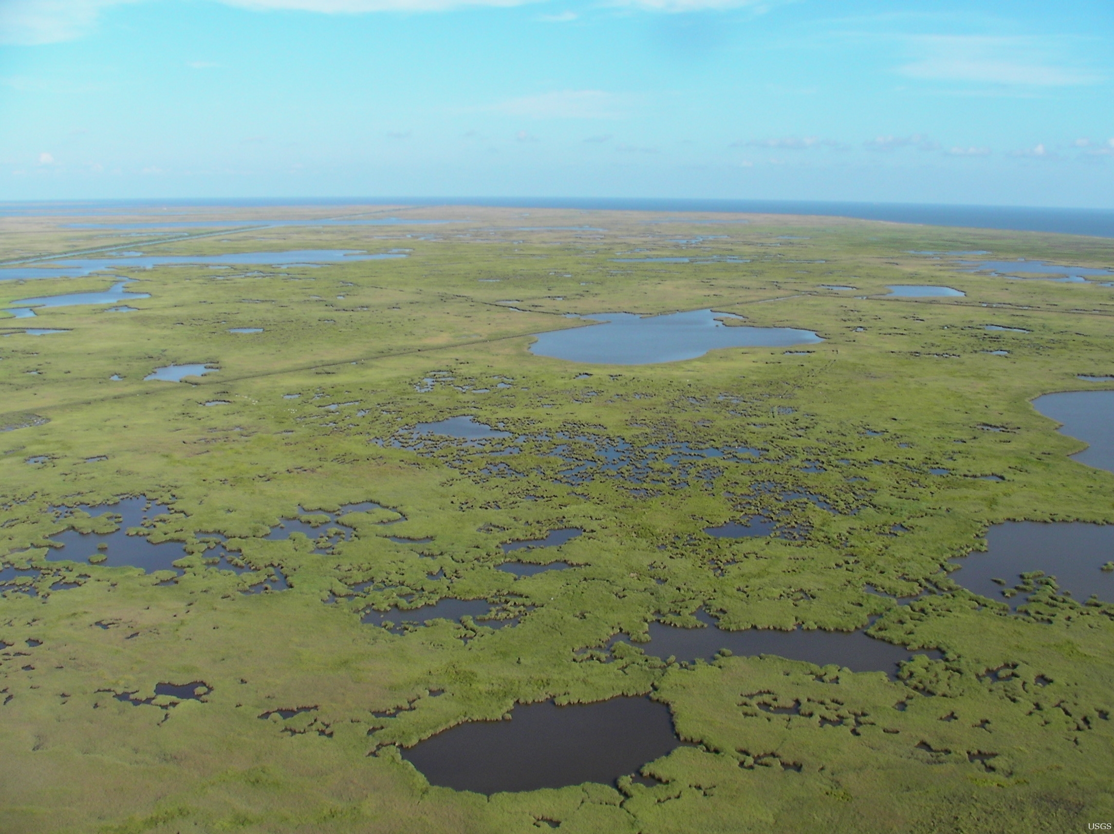 Aerial view of marshes and channels in the Mississippi River Delta