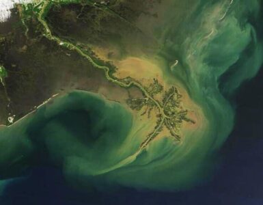 Satellite view of sediment spreading from the Mississippi River Delta into the Gulf of Mexico