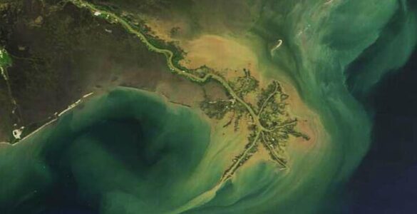 Satellite view of sediment carried by the Mississippi River into the Gulf of Mexico.