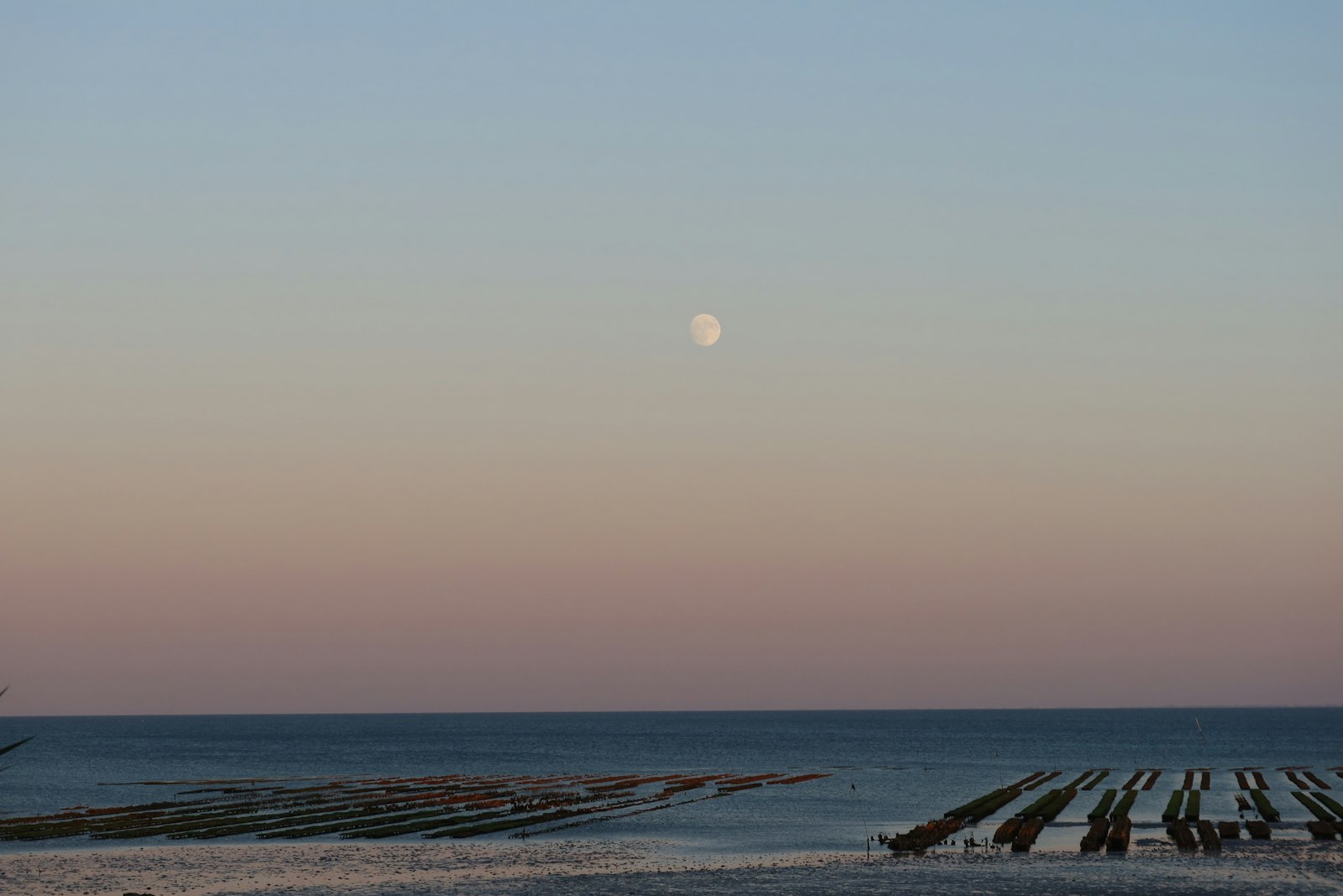 Nearly full moon over calm ocean water and exposed low tide beds at dusk