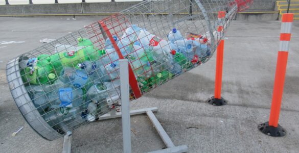 Plastic bottles collected in a recycling bin