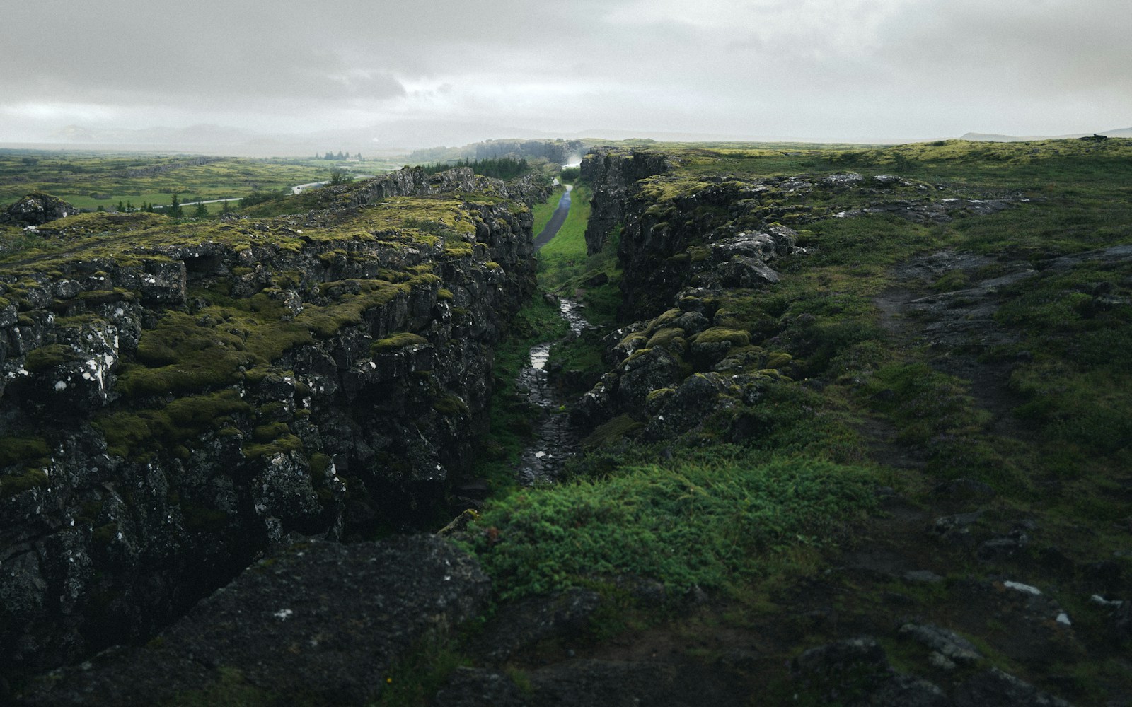 A deep rift valley in Iceland where rock walls split through a mossy landscape.