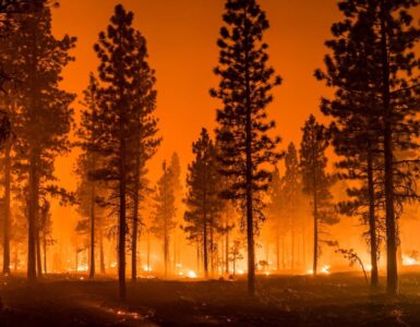 Wildfire burning through a dry forest under orange smoke-filled skies