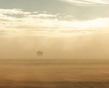 Dusty desert air blowing across a flat landscape under a bright sky
