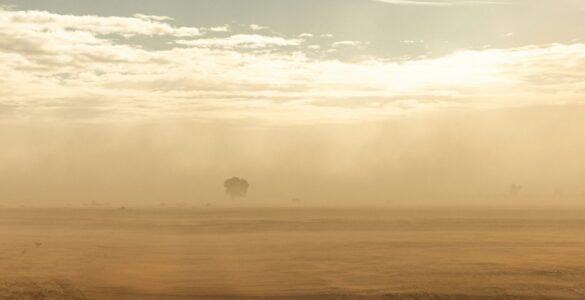 Dusty desert air blowing across a flat landscape under a bright sky