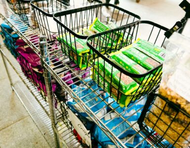 A shopping cart filled with groceries that need safe storage before a summer picnic
