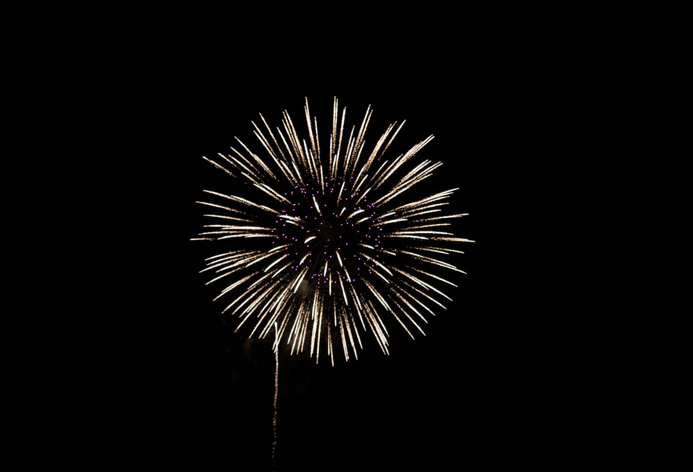 A single firework burst expanding against a black night sky