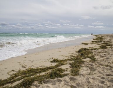 Waves washing up a sandy beach where wet sand shows how far water has reached
