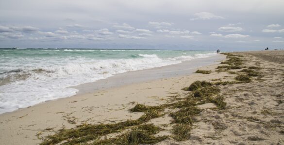 Waves washing up a sandy beach where wet sand shows how far water has reached