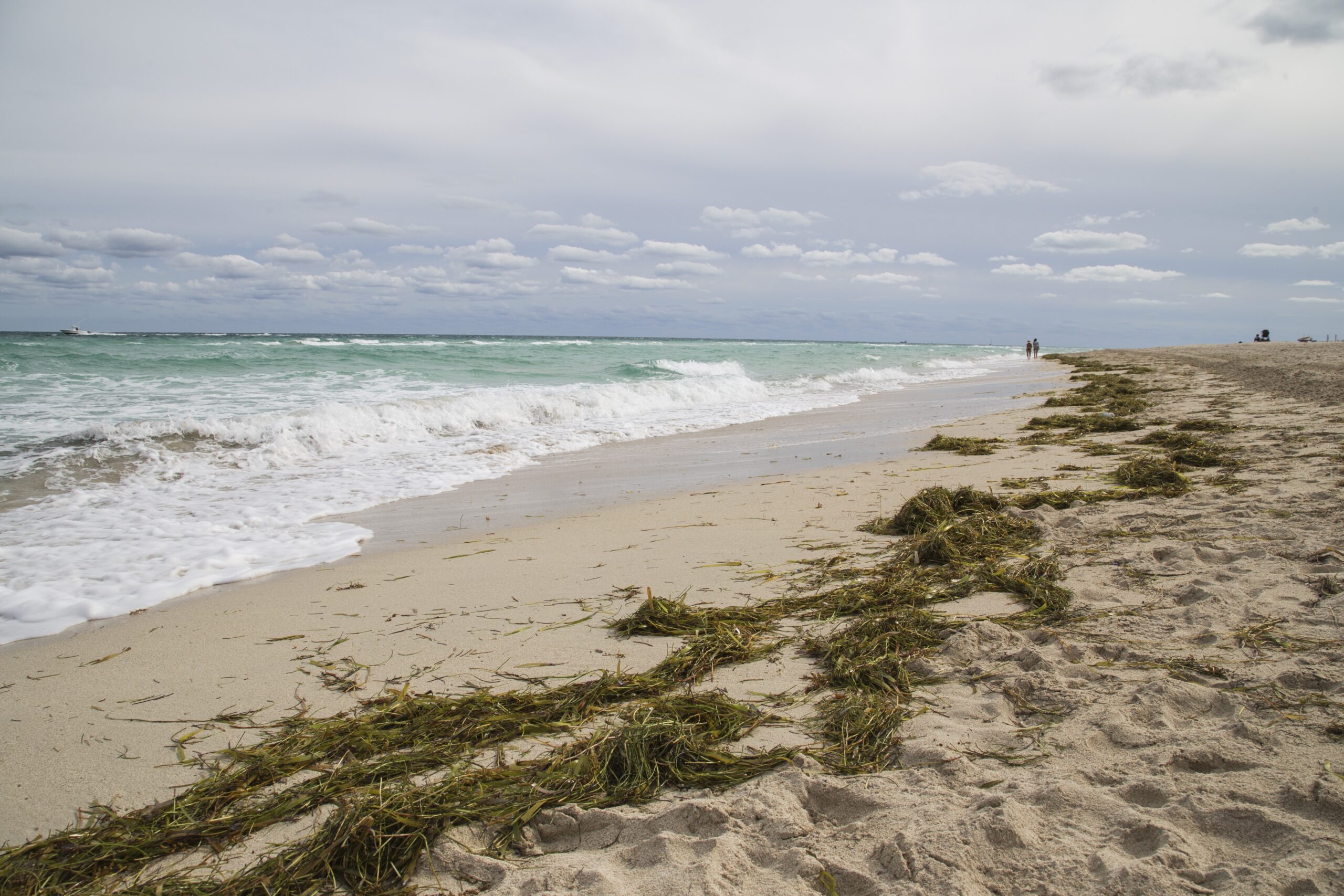 Waves washing up a sandy beach where wet sand shows how far water has reached