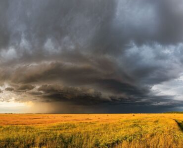 Dark storm clouds spreading across a rural field before severe weather.
