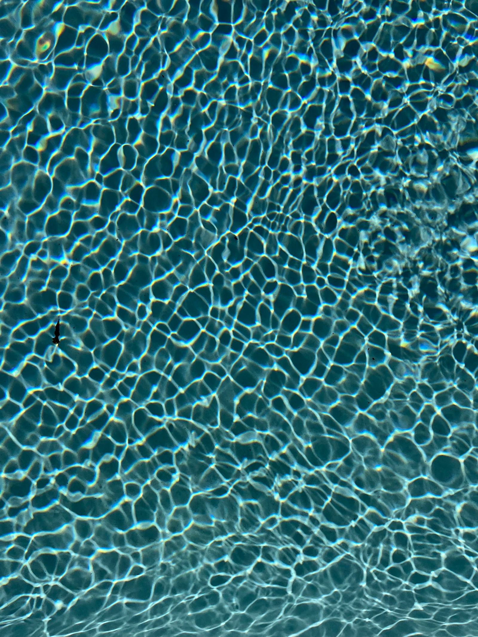 Sunlight reflecting across clear swimming pool water