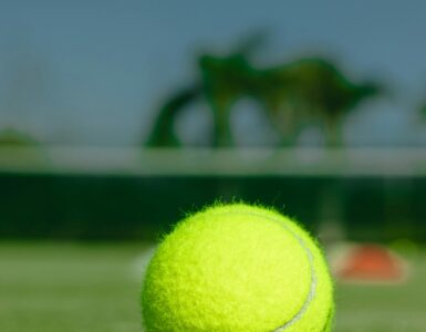 A tennis ball resting on a grass court near the net