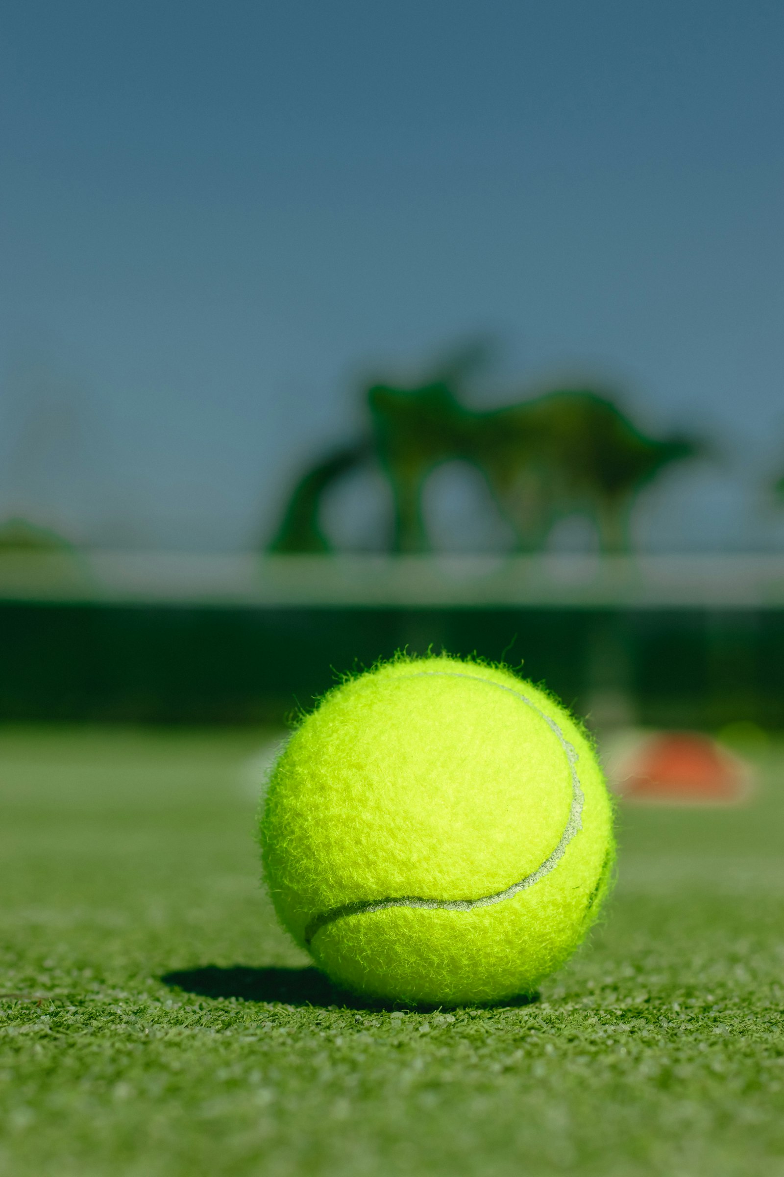 A tennis ball on a grass court during a set that could be decided by a tiebreak