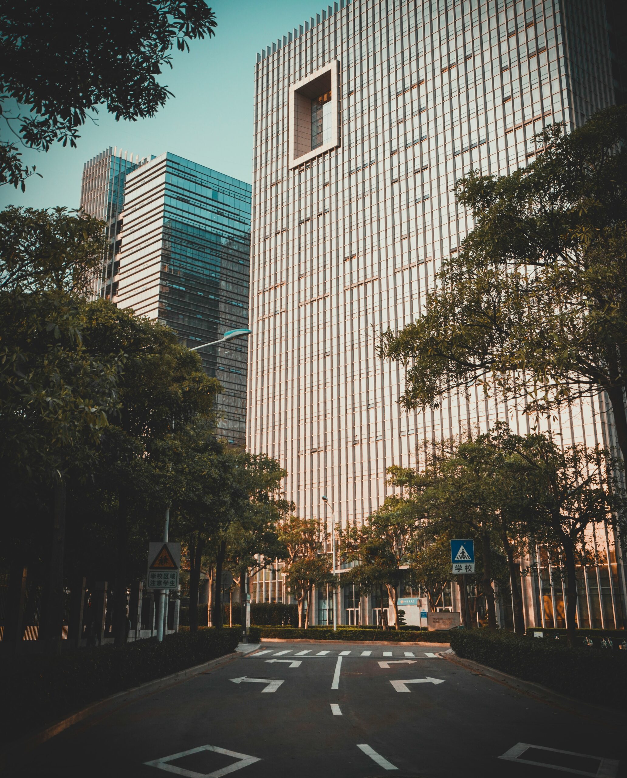 A tree-lined city street where shade helps reduce pavement heating.