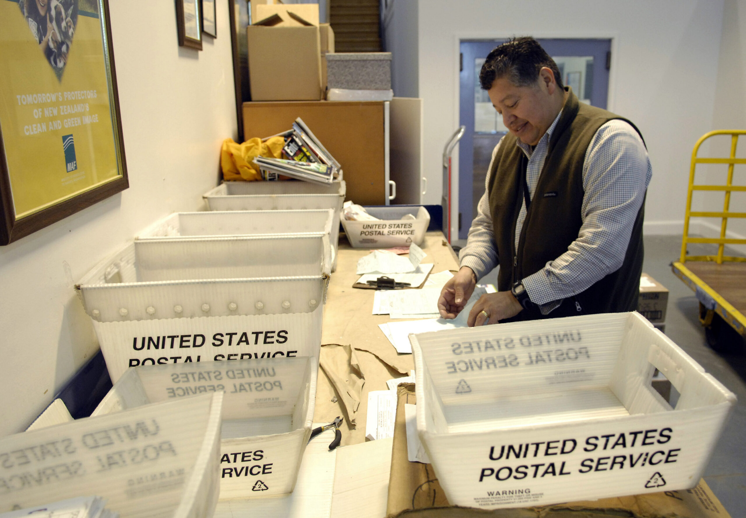 A postal clerk sorting mail into USPS tubs before delivery